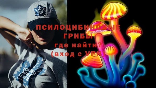 шишки Магадан